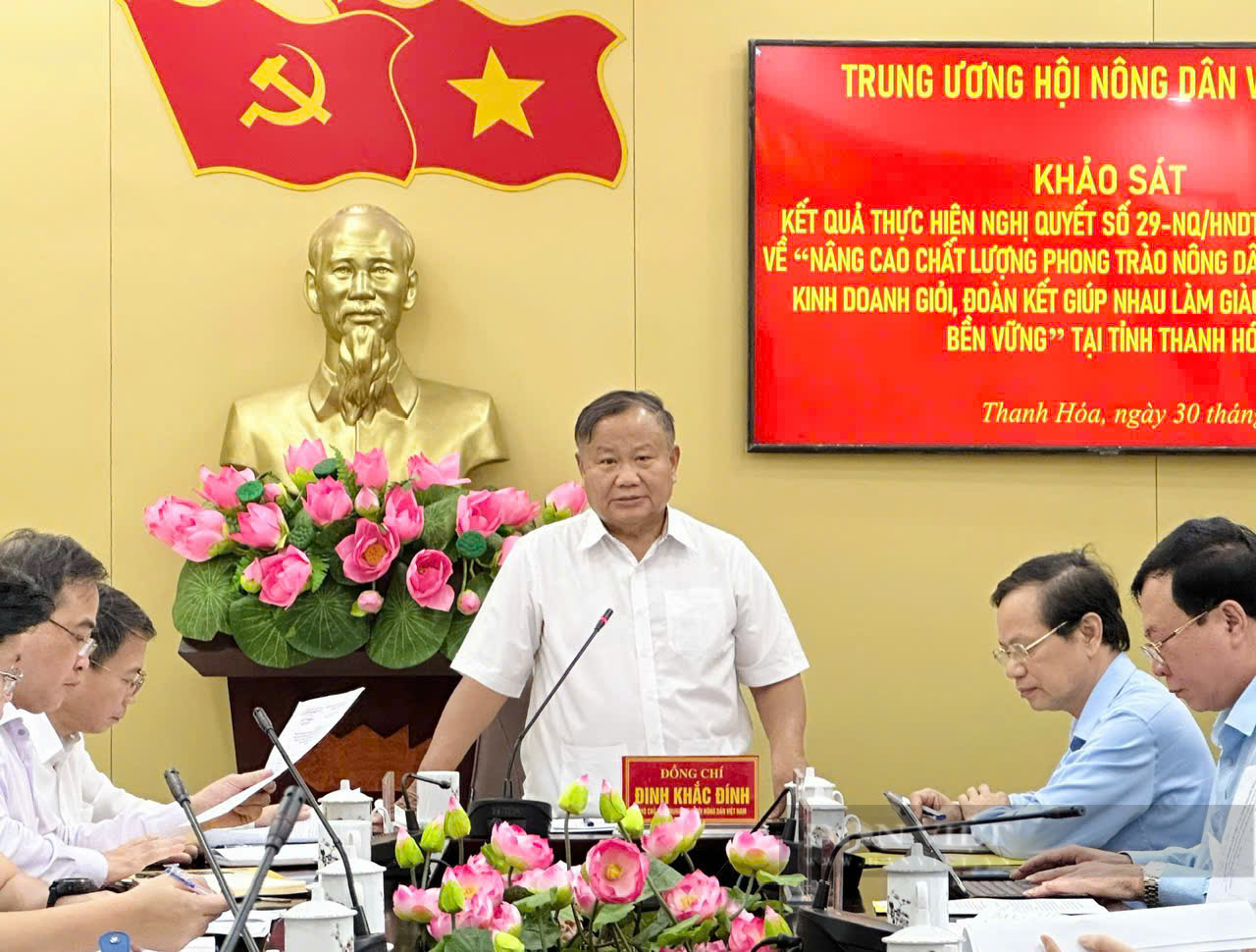 Thanh Hoá nâng cao hiệu quả phong trào nông dân thi đua sản xuất, kinh doanh giỏi, giúp nhau làm giàu, giảm nghèo bền vững- Ảnh 1.