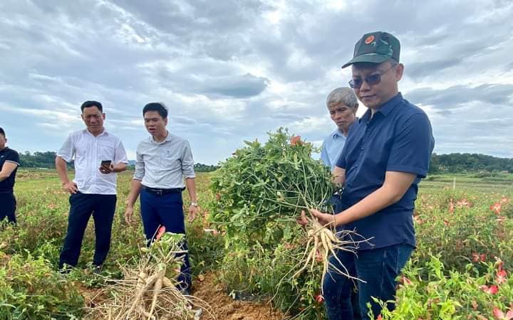 Dẫn nước hồ Dầu Tiếng về nhà nuôi cá lăng nha, cá đặc sản ở Tây Ninh, vớt lên bán 150.000 đồng/kg - Ảnh 2.