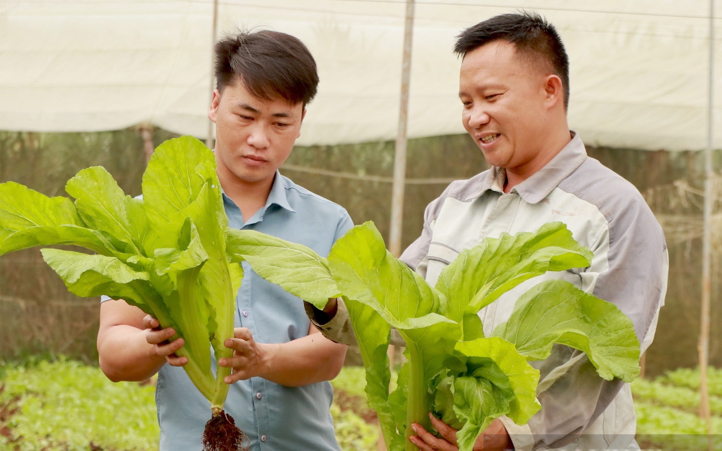 Ông Gabor Fluit, Tổng Giám đốc De Heus châu Á: Muốn có nông thôn tốt, phải có những người chăn nuôi tốt - Ảnh 4.