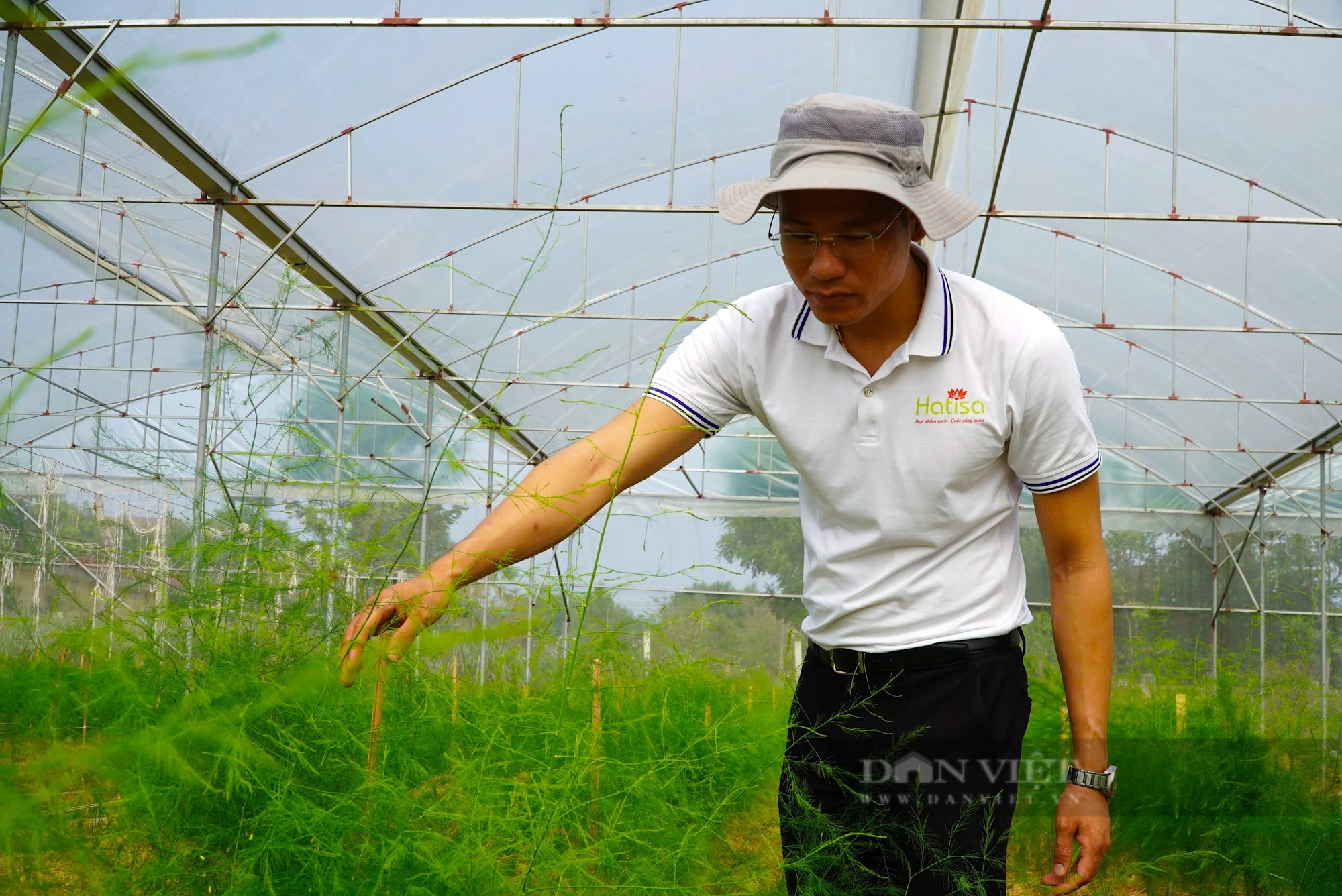 Giám đốc trẻ ở Hà Tĩnh xây dựng vùng rau sạch, sản xuất an toàn, đảm bảo đầu ra đến tay người dân - Ảnh 5.