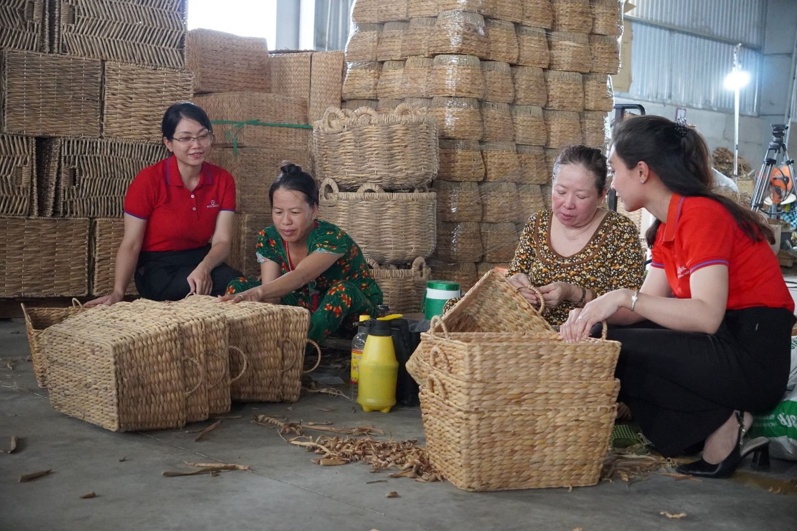 Tín dụng xanh - động lực cho phát triển bền vững: Nông dân, doanh nghiệp “hái ra tiền” nhờ đầu tư xanh, sạch (Bài 1) - Ảnh 1.