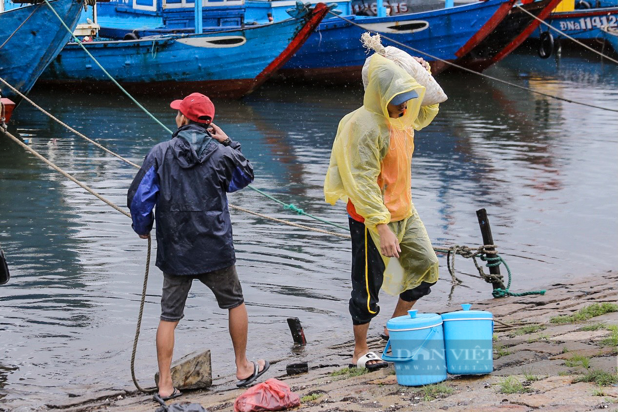 Biển gần bờ Đà Nẵng có la liệt cá ngon, sau bão Trà Mi, dân đánh bắt, xách túi lớn túi nhỏ, đắt hàng- Ảnh 5.