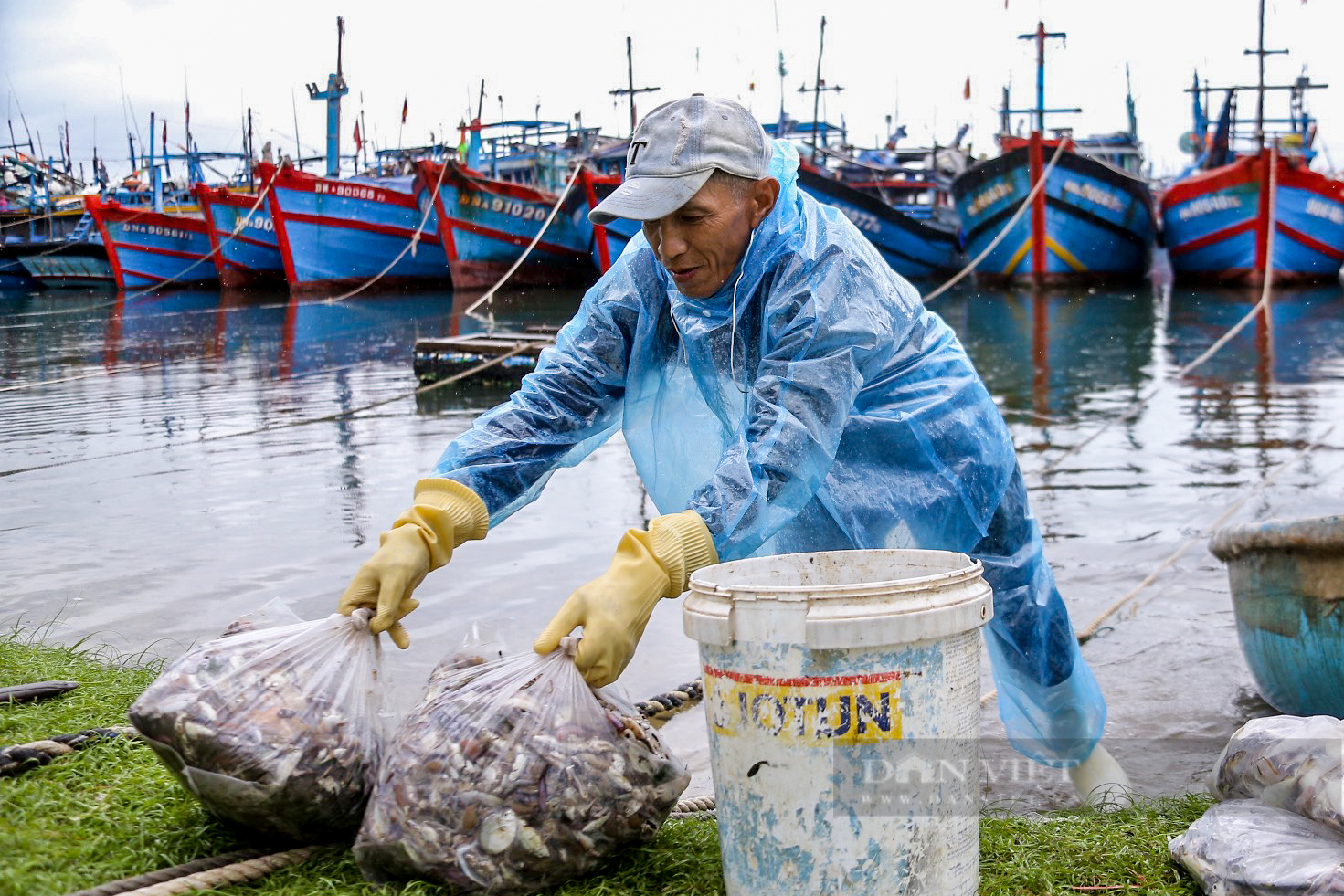 Biển gần bờ Đà Nẵng có la liệt cá ngon, sau bão Trà Mi, dân đánh bắt, xách túi lớn túi nhỏ, đắt hàng- Ảnh 6.