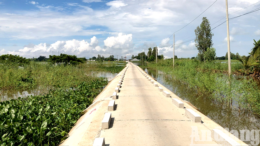 Nước tràn đồng An Giang, phóng xe máy đi câu ếch đồng, con động vật hoang dã đặc sản đãi nhà giàu- Ảnh 1.