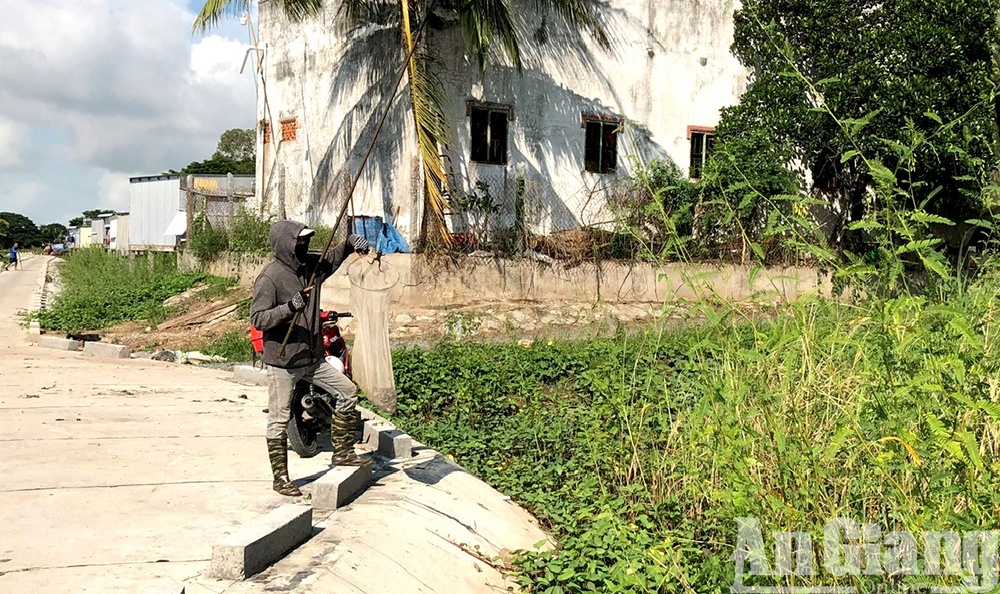 Nước tràn đồng An Giang, phóng xe máy đi câu ếch đồng, con động vật hoang dã đặc sản đãi nhà giàu- Ảnh 3.