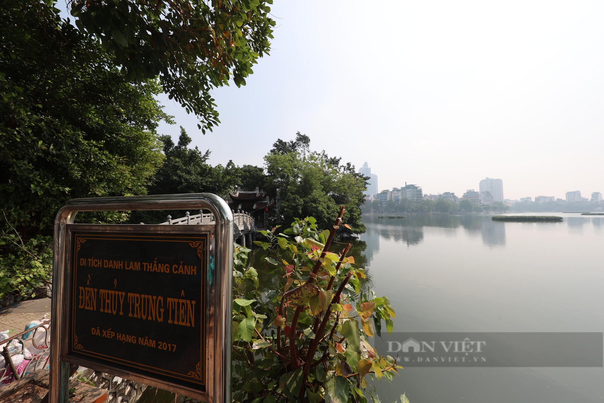 Chim hoang dã bay rợp trời hồ Trúc Bạch, toàn là cò, diệc... cỡ lớn- Ảnh 1.