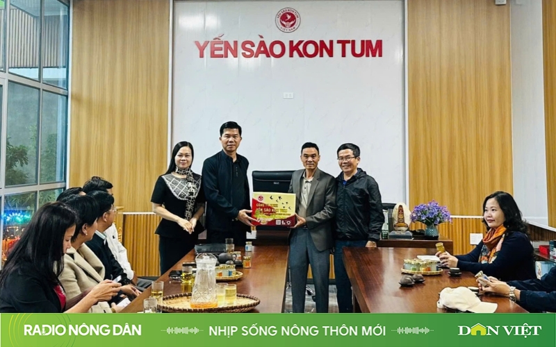 Nhịp sống nông thôn mới ngày 1/11/2024 - Ảnh 1.