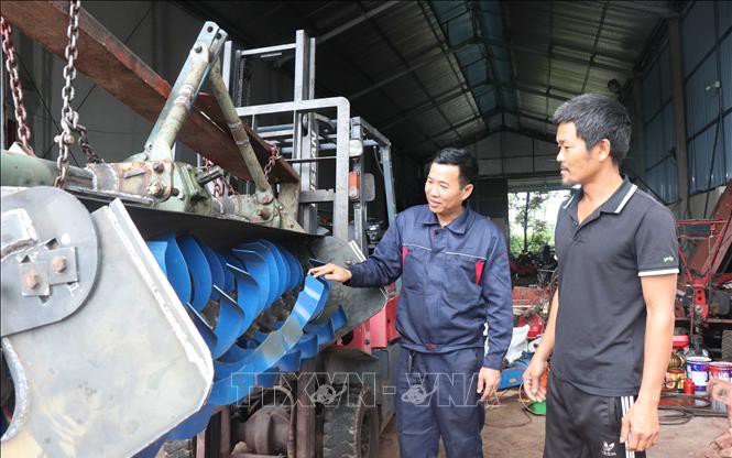 Liều trồng rau choại tên đọc đau mồm, hóa ra rau rừng, rau dại này khiến nông dân Hậu Giang đổi đời - Ảnh 1.