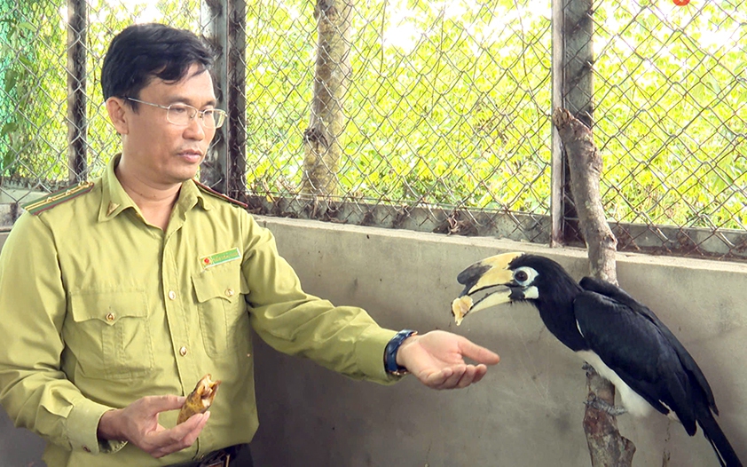 Thành Hồ, văn hóa Chăm Pa trên vùng đất Phú Yên, cửa thông lên Tây Nguyên của vương quốc cổ - Ảnh 2.