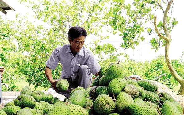 Hậu Giang: Mua chim về làm cảnh, thấy lạ hoắc, tra trên mạng là động vật hoang dã, liền báo công an - Ảnh 2.