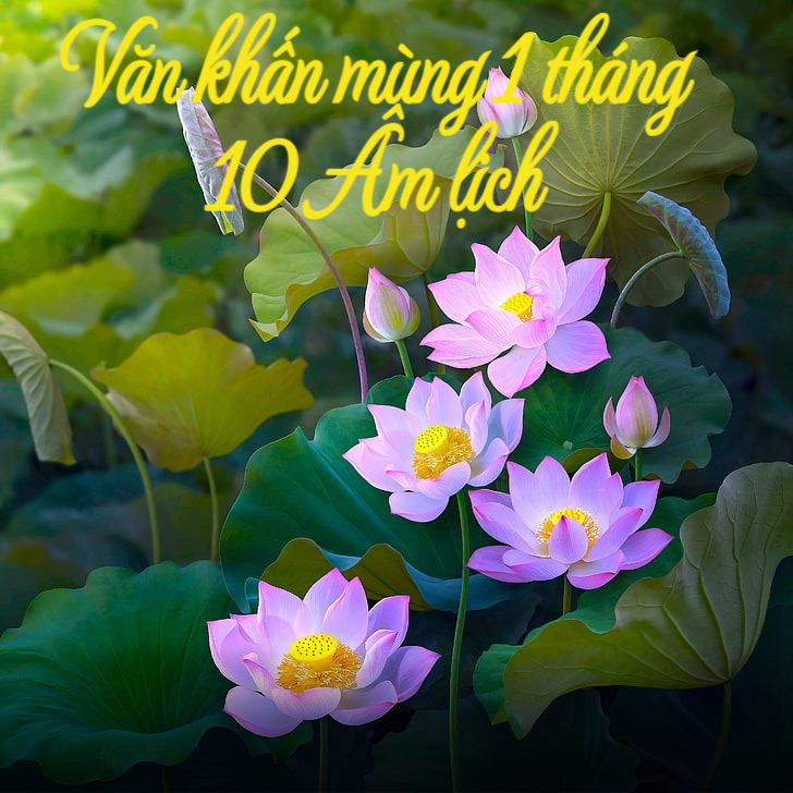 Văn khấn mùng 1 tháng 10 Âm lịch chính xác, thành tâm, cầu cho gia đình bình an, đón lộc trong mùa thu   - Ảnh 3.