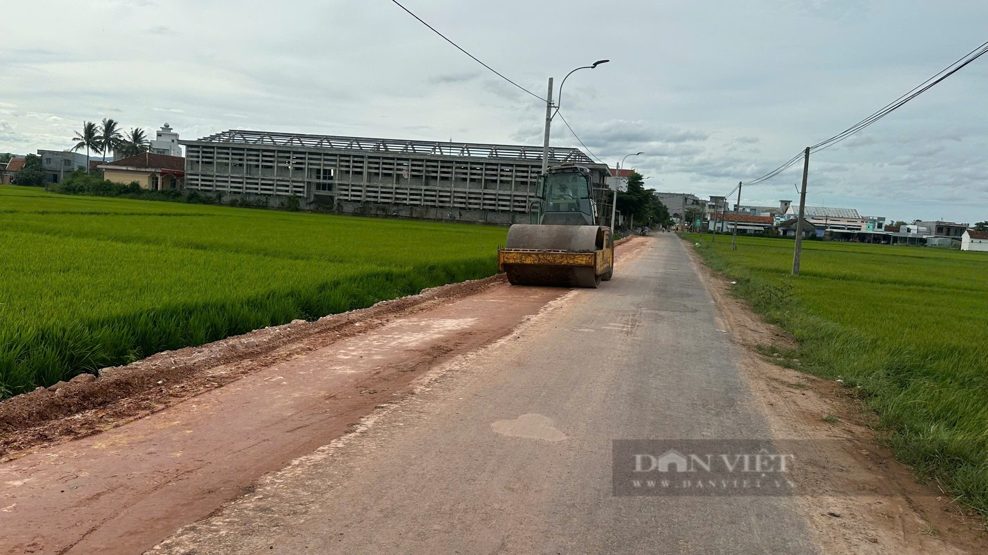 Phú Yên tích cực tháo gỡ khó khăn, hoàn thành những mục tiêu xây dựng nông thôn mới - Ảnh 3.