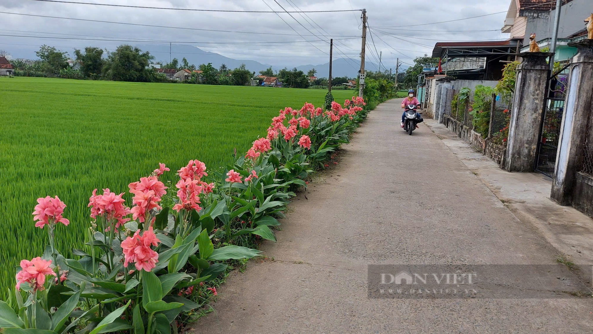 Phú Yên tích cực tháo gỡ khó khăn, hoàn thành những mục tiêu xây dựng nông thôn mới - Ảnh 1.