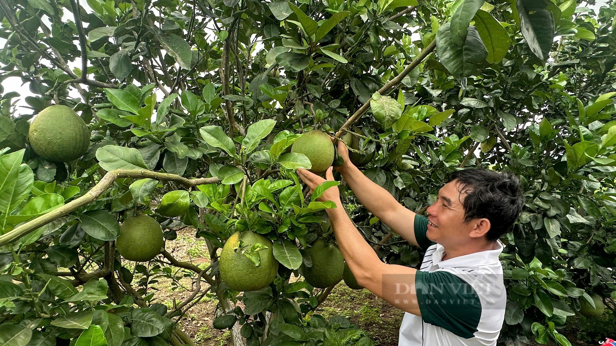 Phú Yên tích cực tháo gỡ khó khăn, hoàn thành những mục tiêu xây dựng nông thôn mới - Ảnh 4.