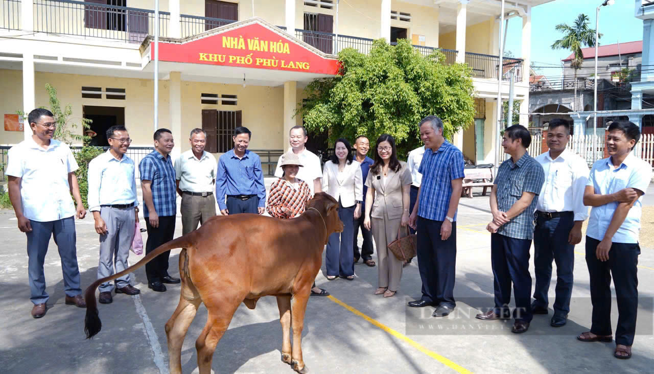 Hội Nông dân thị xã Quế Võ, Bắc Ninh ra mắt Câu lạc bộ "Khoa học kỹ thuật nhà nông" - Ảnh 3.