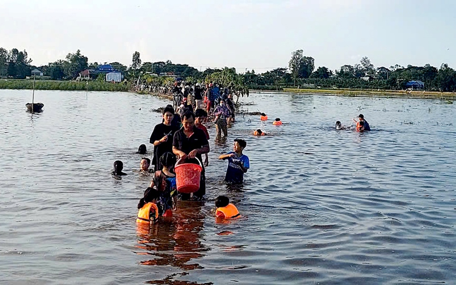 Trồng lúa hữu cơ trên cánh đồng không dấu chân ở Quảng Trị, gạo làm ra đến nhà giàu còn muốn mua - Ảnh 7.