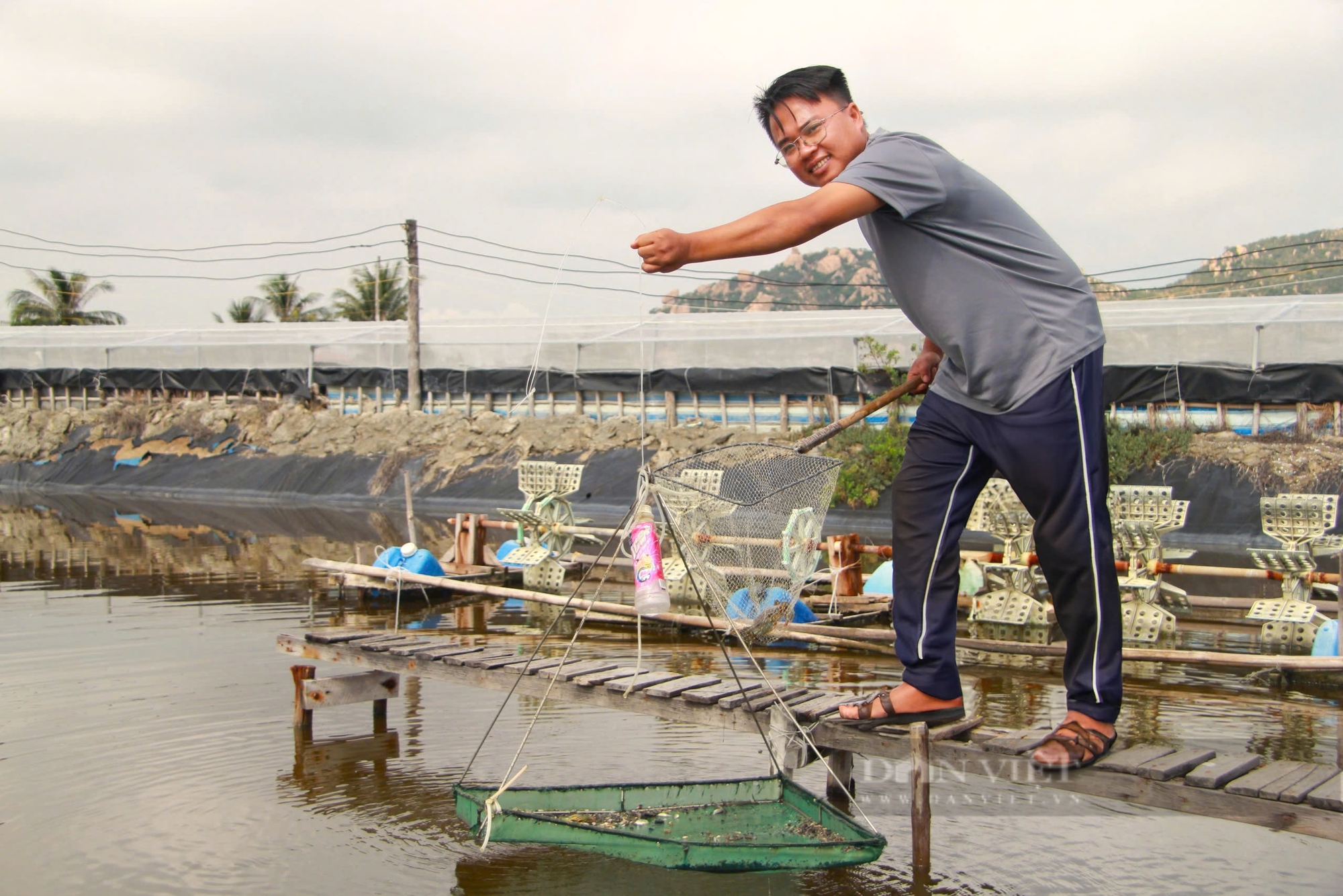 Tận dụng ao tôm bỏ hoang để nuôi cua xanh, nông dân 9x thu lợi nhuận bất ngờ - Ảnh 4.