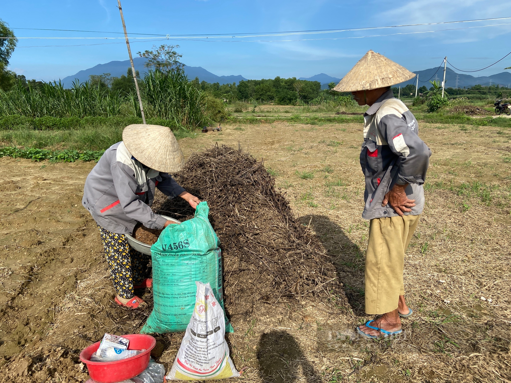 Đà Nẵng: Hợp tác xã rau an toàn Túy Loan đề xuất nguồn vốn vay ưu đãi cho kinh tế tập phát triển bền vững - Ảnh 4.