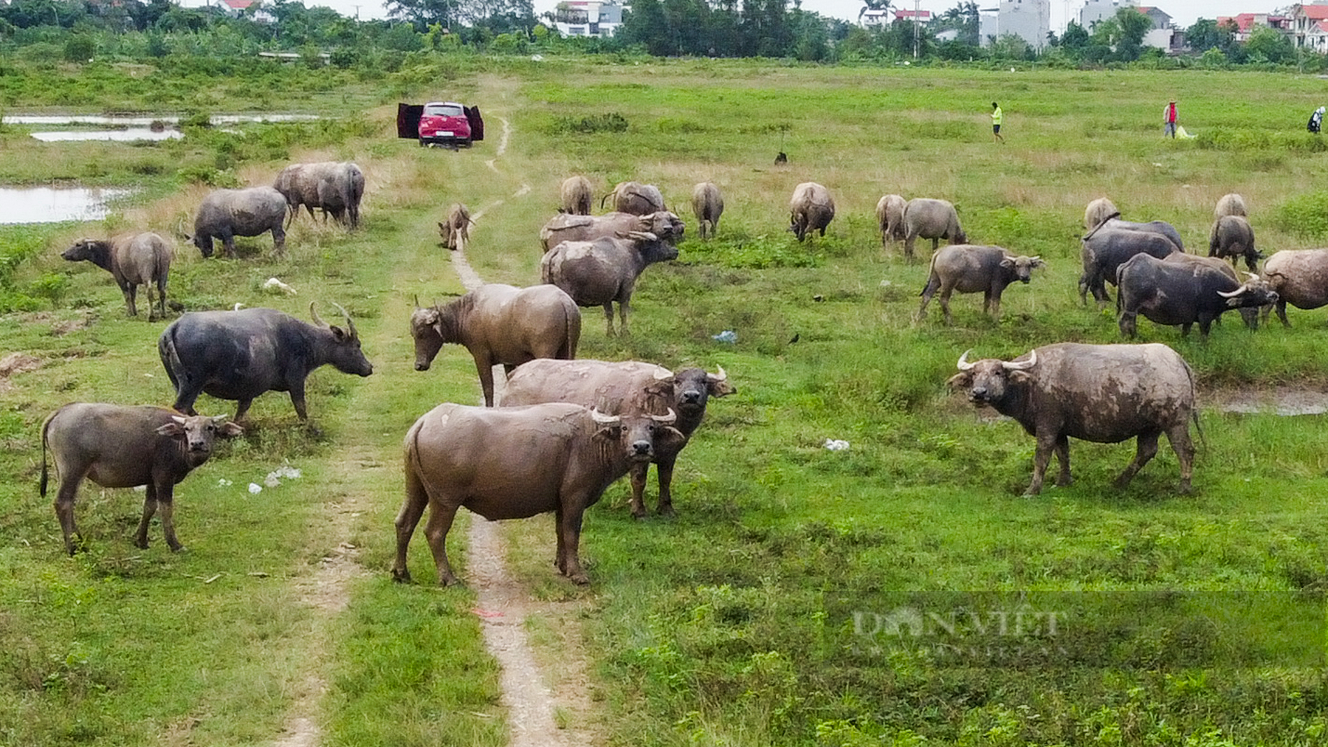 Khu đô thị Bắc An Khánh - Mailand Ha Noi City sau gần 2 thập kỷ được giao hơn 264 ha đất giờ ra sao?- Ảnh 7.