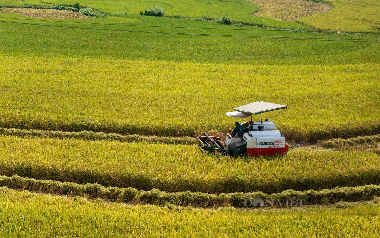 Dẻo, thơm gạo Séng Cù Mường Vi (Lào Cai) - Ảnh 6.