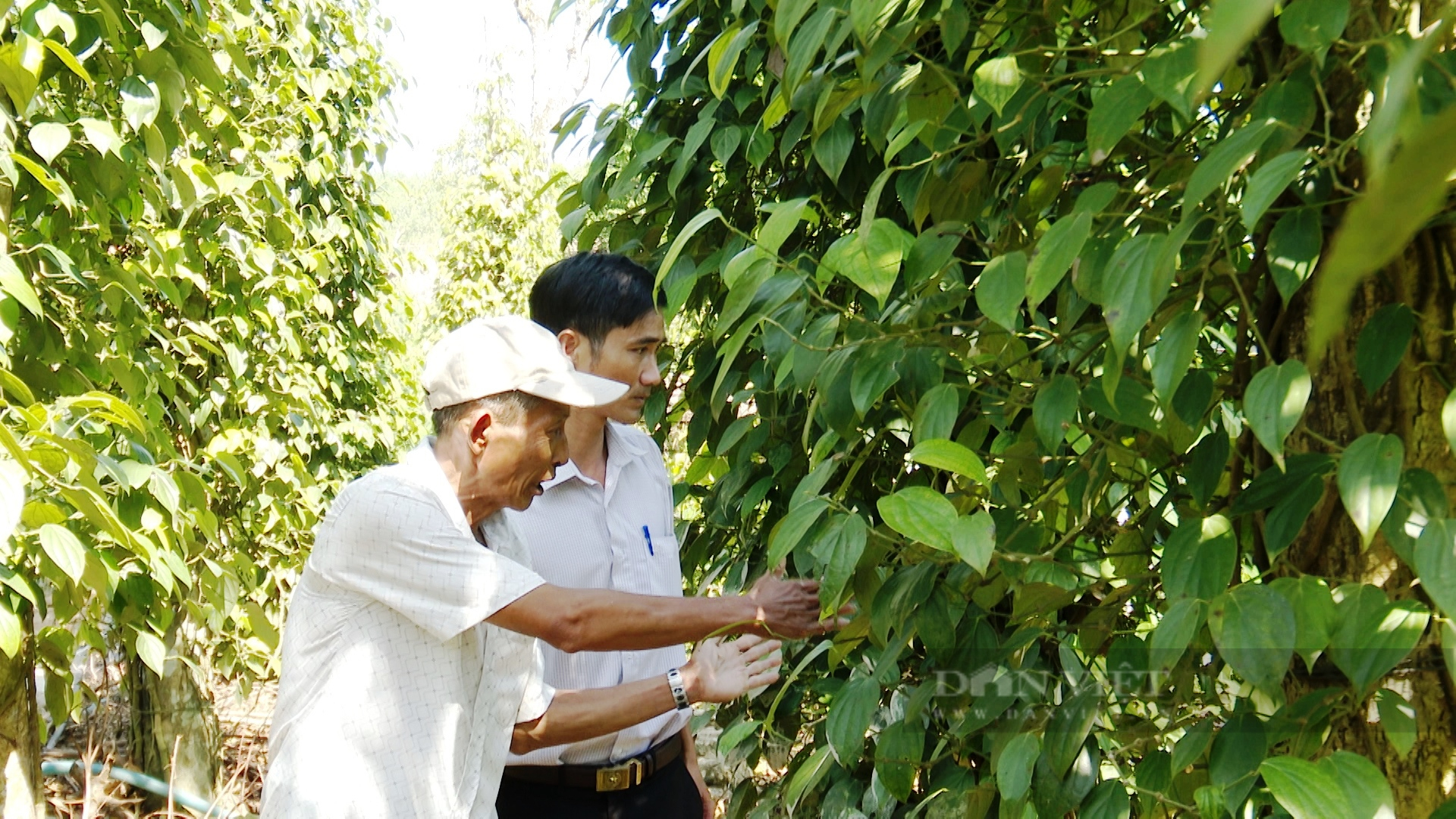 Tiên Phong trong xây dựng nông thôn mới nâng cao ở Quảng Nam - Ảnh 4.