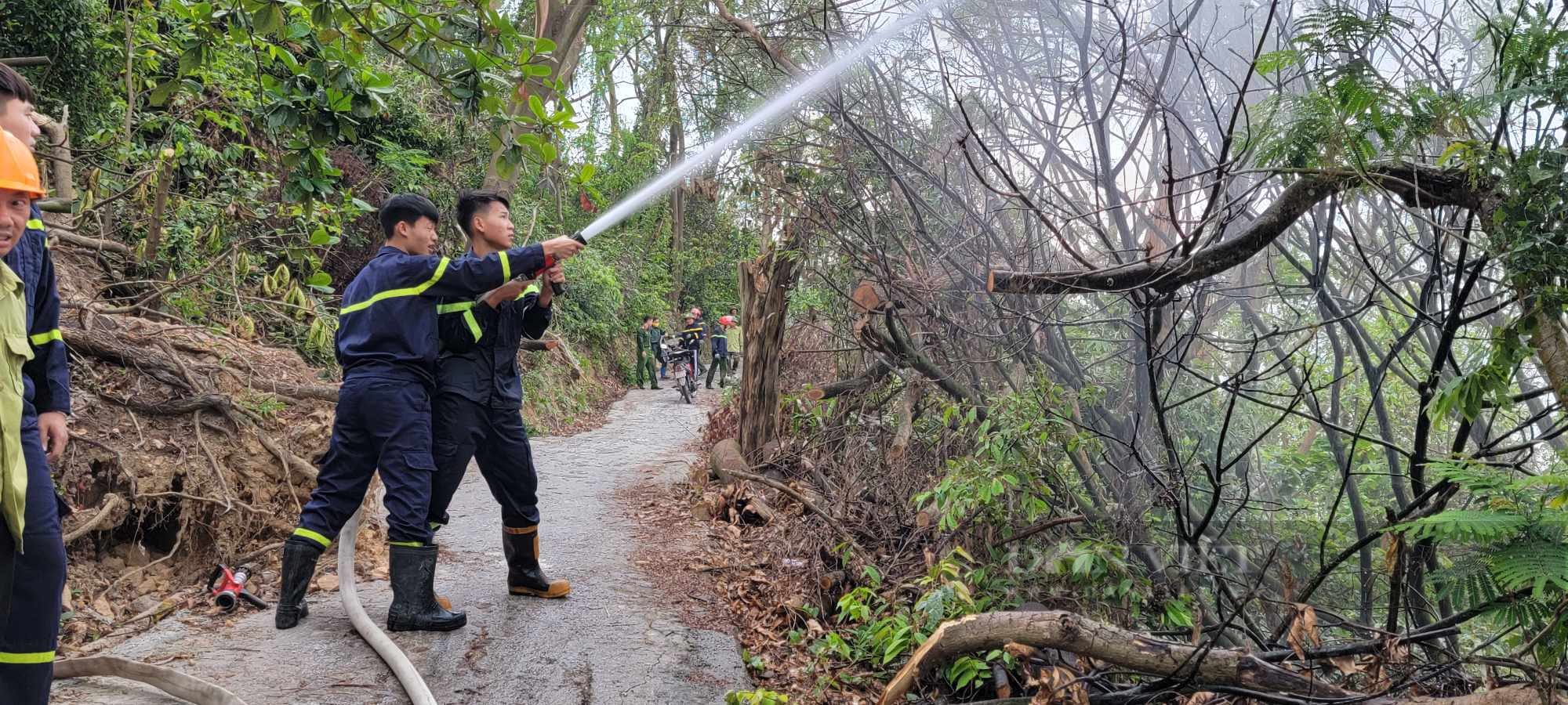 Cháy rừng phòng hộ An Phụ ở Hải Dương, hàng trăm người tham gia dập tắt đám cháy kịp thời- Ảnh 2.