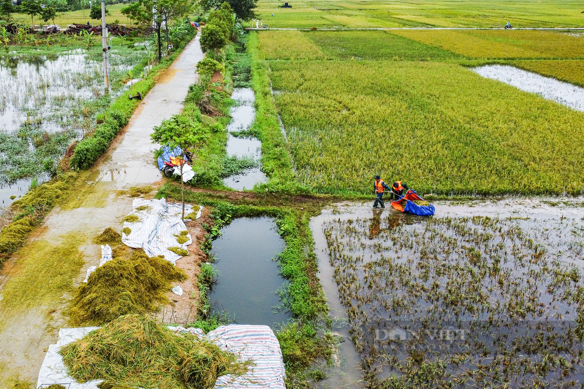 Tập trung nguồn lực bơm thoát, tiêu úng không để ngập kéo dài, đảm bảo an toàn đời sống nhân dân sau mưa lũ - Ảnh 1.