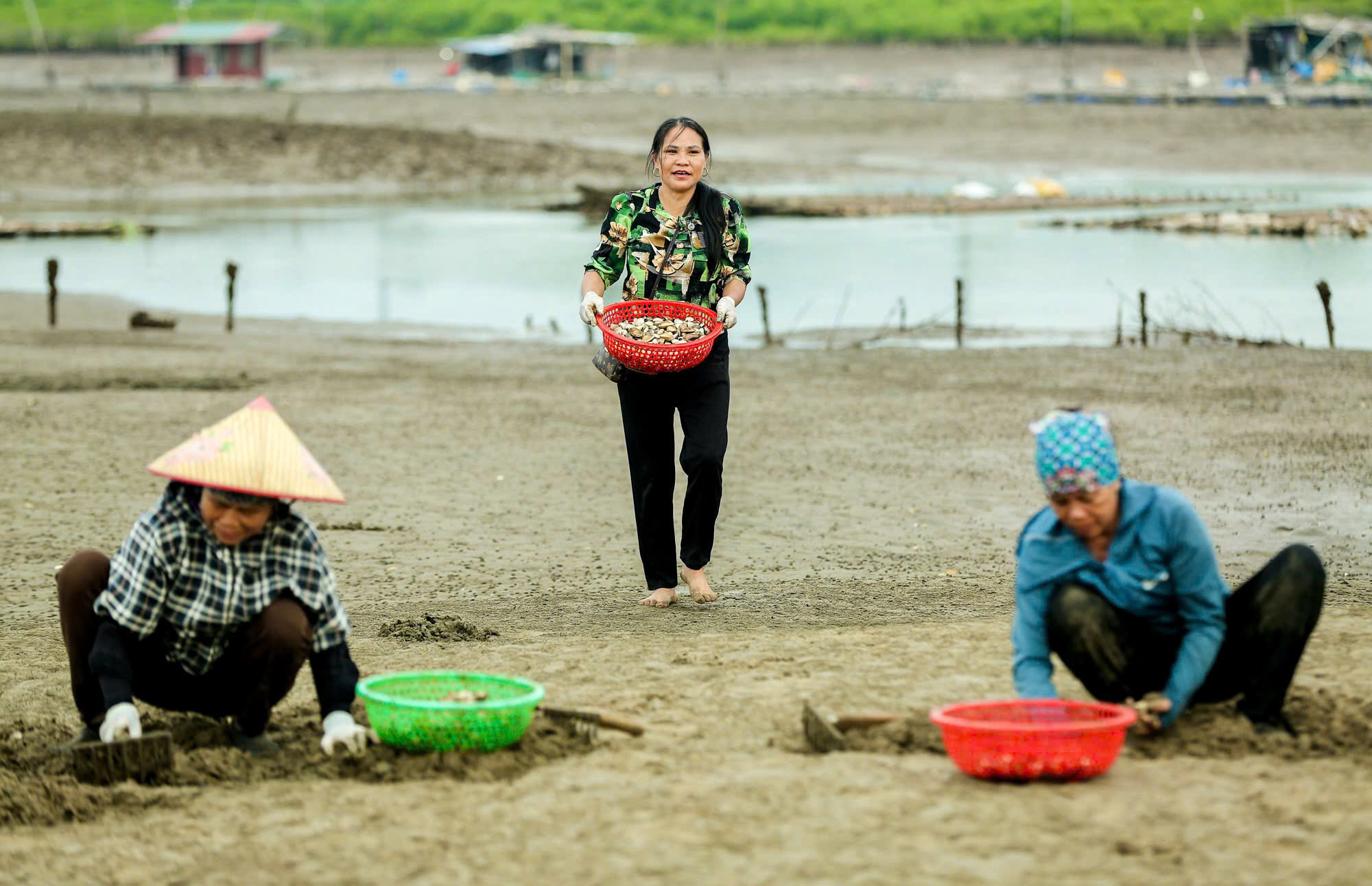 Nông dân Việt Nam xuất sắc năm 2024 có doanh thu cao nhất 150 tỷ/năm là nữ tỷ phú nuôi ngao đến từ Thanh Hóa - Ảnh 2.