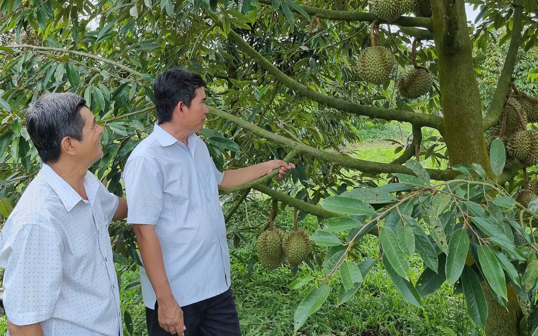 Nông dân Việt Nam xuất sắc năm 2024 có lợi nhuận cao nhất là tỷ phú nuôi tôm công nghệ cao ở Bến Tre - Ảnh 2.