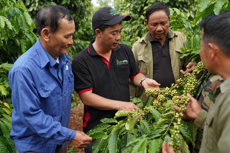 Là đất nước xuất khẩu nông sản, vì sao Việt Nam lại nhập khẩu gạo, cà phê? - Ảnh 2.