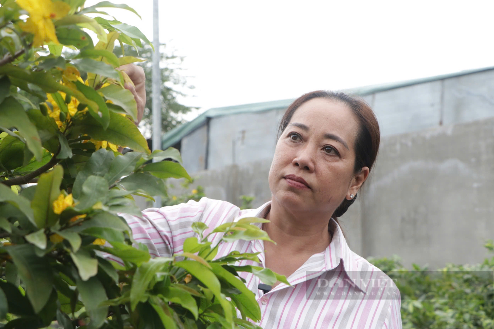 TP.HCM vinh danh 17 nông dân tiêu biểu, trong đó có 2 nữ nông dân  - Ảnh 1.