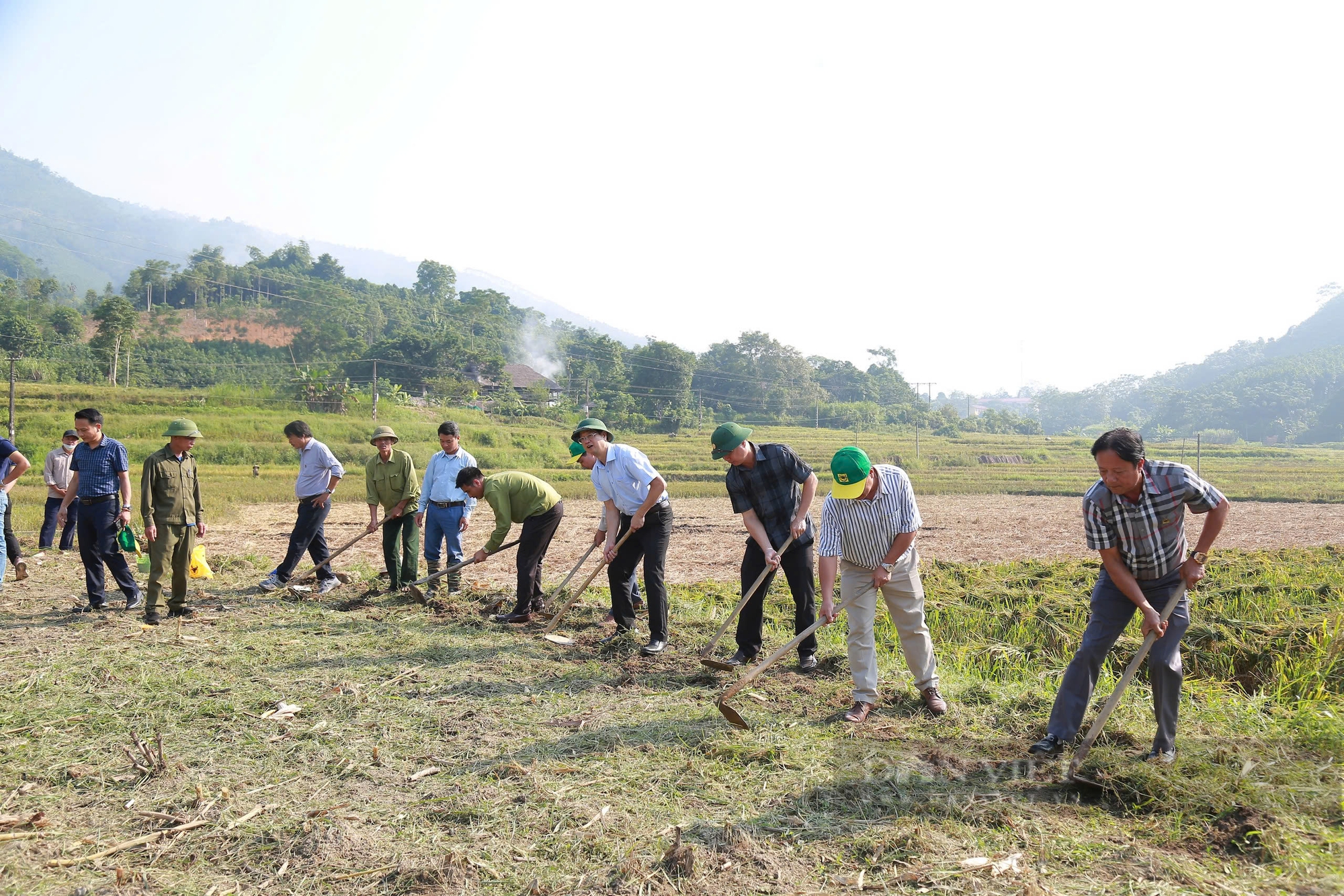 Hỗ trợ hơn 182 tấn phân bón, giống ngô giúp bà con vùng bị ảnh hưởng bão lũ tỉnh Lào Cai khôi phục sản xuất - Ảnh 9.