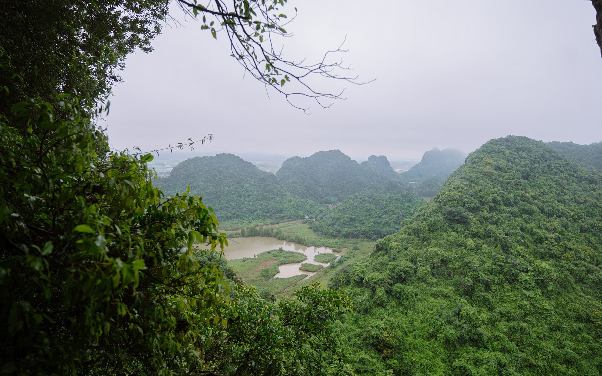 Dân U Minh Thượng Kiên Giang lội ruộng lúa bắt la liệt tôm càng xanh to bự, bán 120.000 đồng/kg - Ảnh 4.