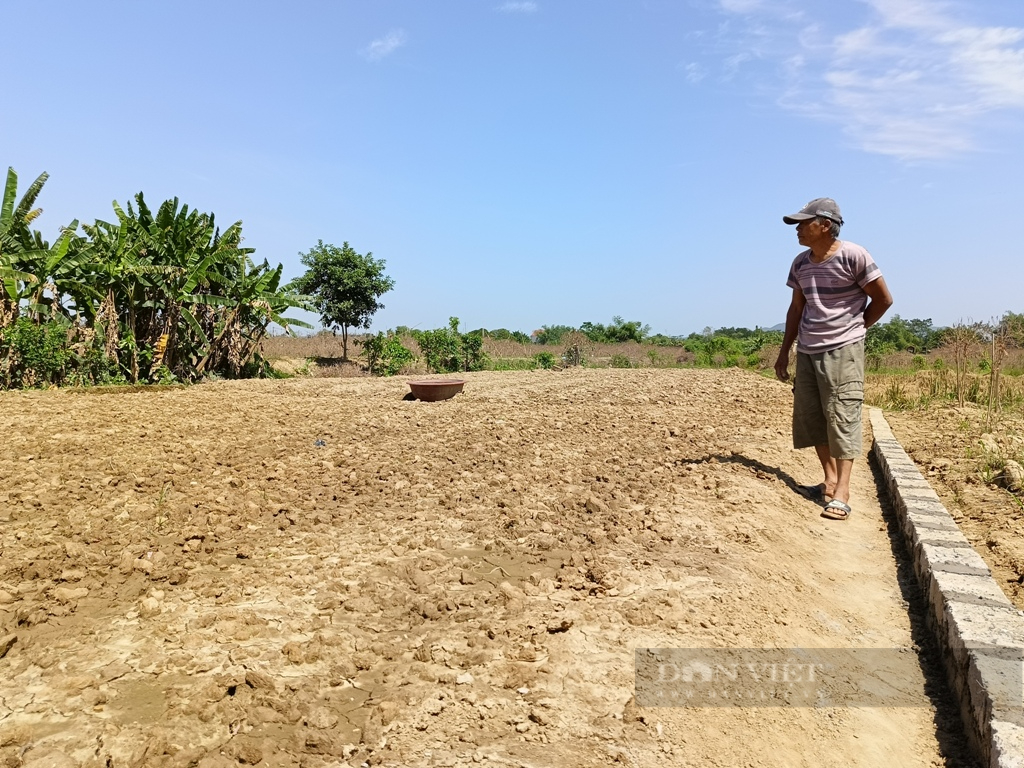 Nông dân kiệt sức sau bão lũ lịch sử: Tan hoang làng đào Cam Giá (Bài 3) - Ảnh 5.