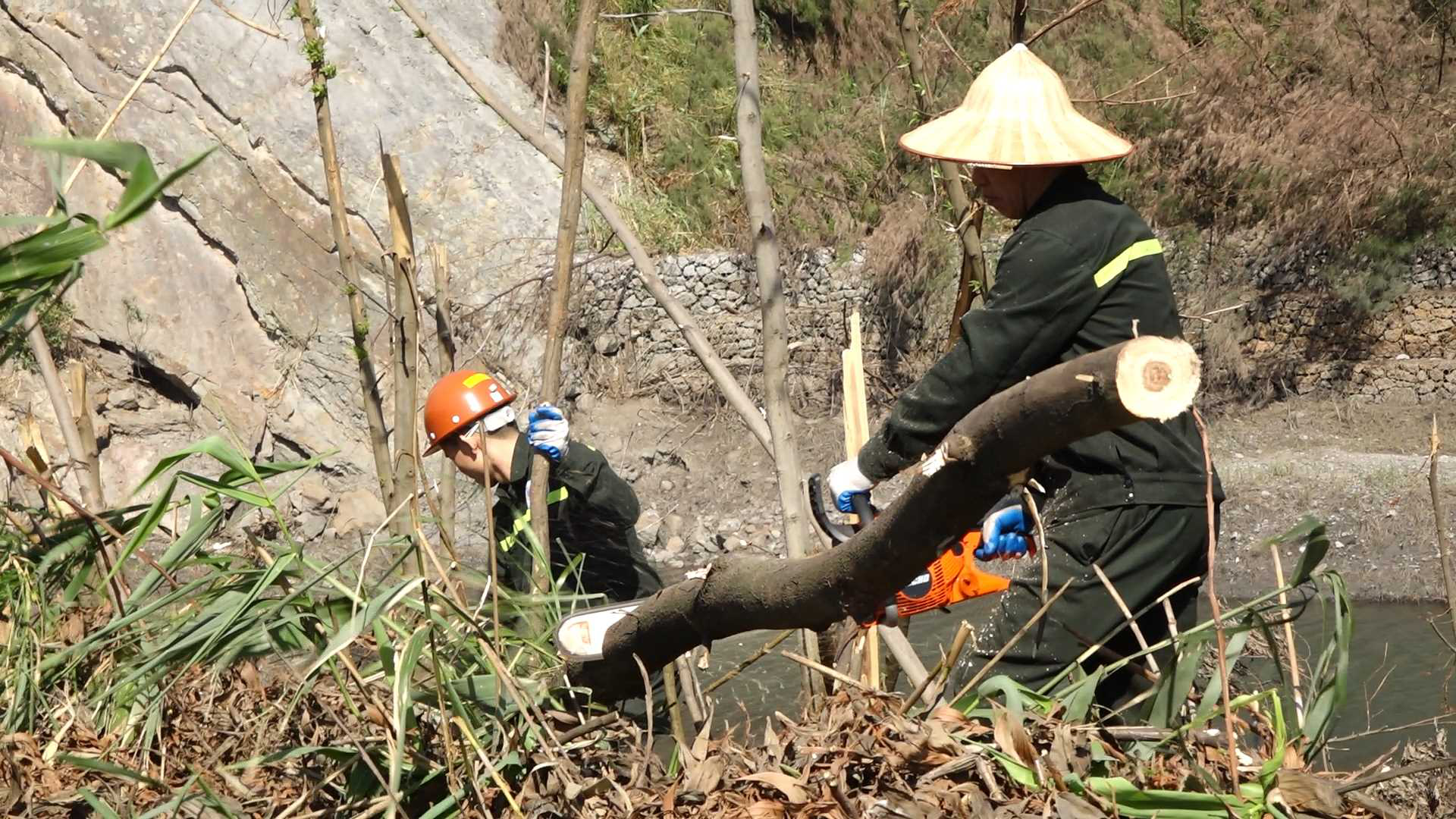 Rừng ở Quảng Ninh có 6 triệu tấn vật liệu dễ cháy sau bão Yagi- Ảnh 3.