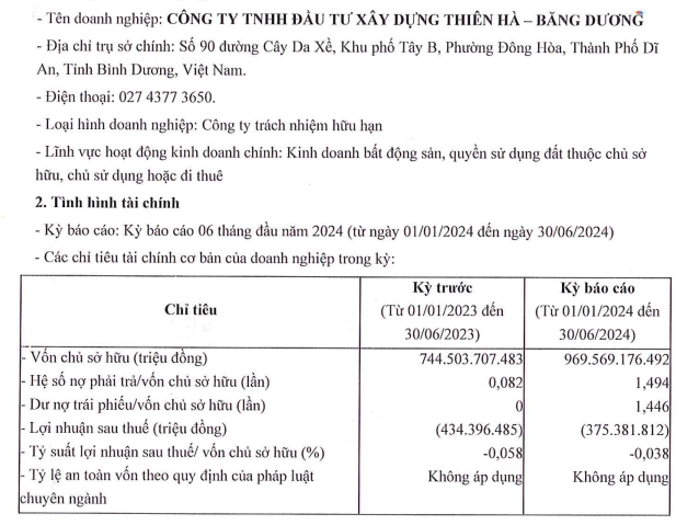 Chủ đầu tư Dự án The Esme Dĩ An liên tục báo lỗ, dư nợ trái phiếu hơn 1.400 tỷ đồng - Ảnh 1.