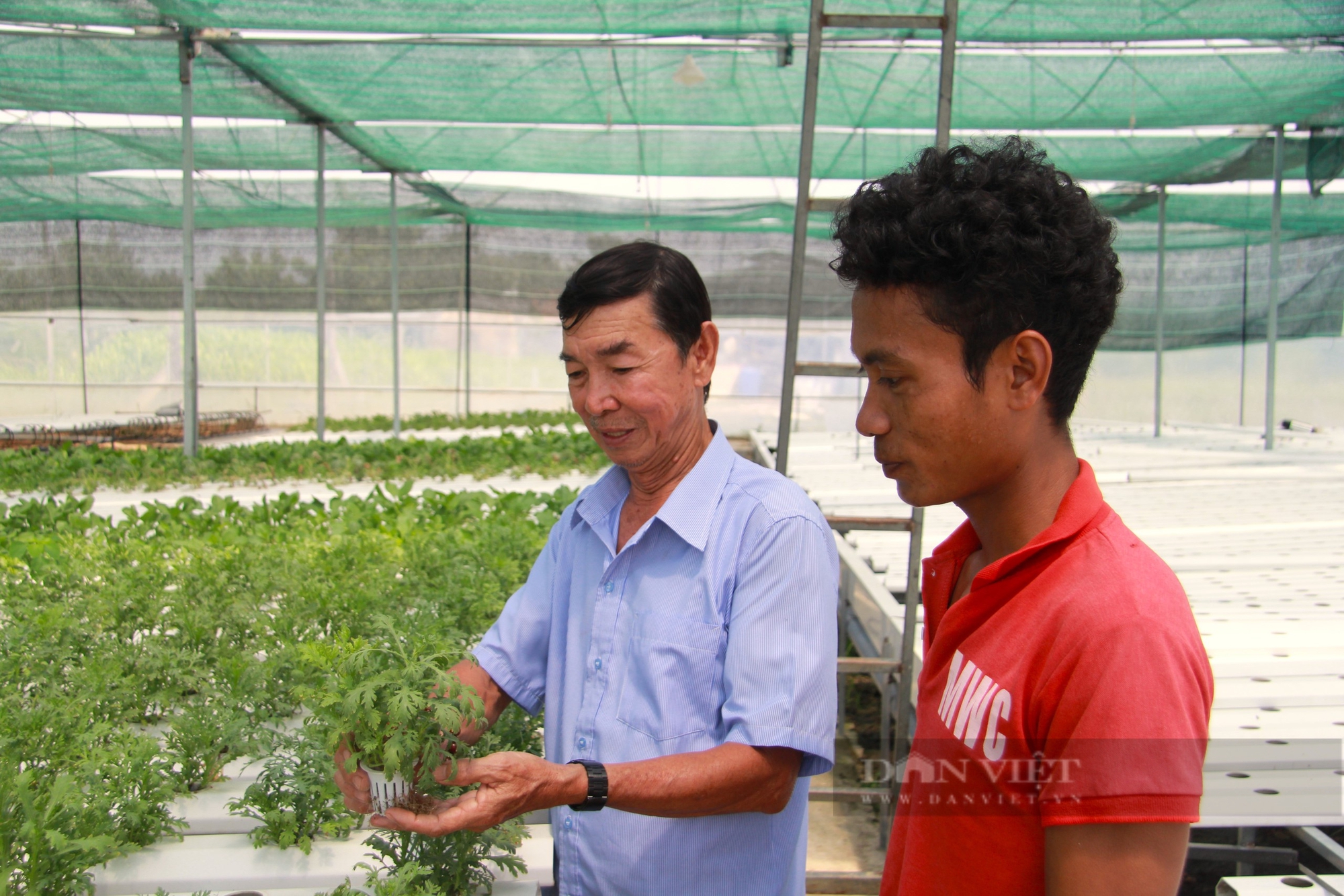 Lắng nghe nông dân nói: Nhiều nông dân, hợp tác xã muốn chia sẻ chân tình với Chủ tịch Hội NDVN, Bộ trưởng NNPTNT - Ảnh 2.