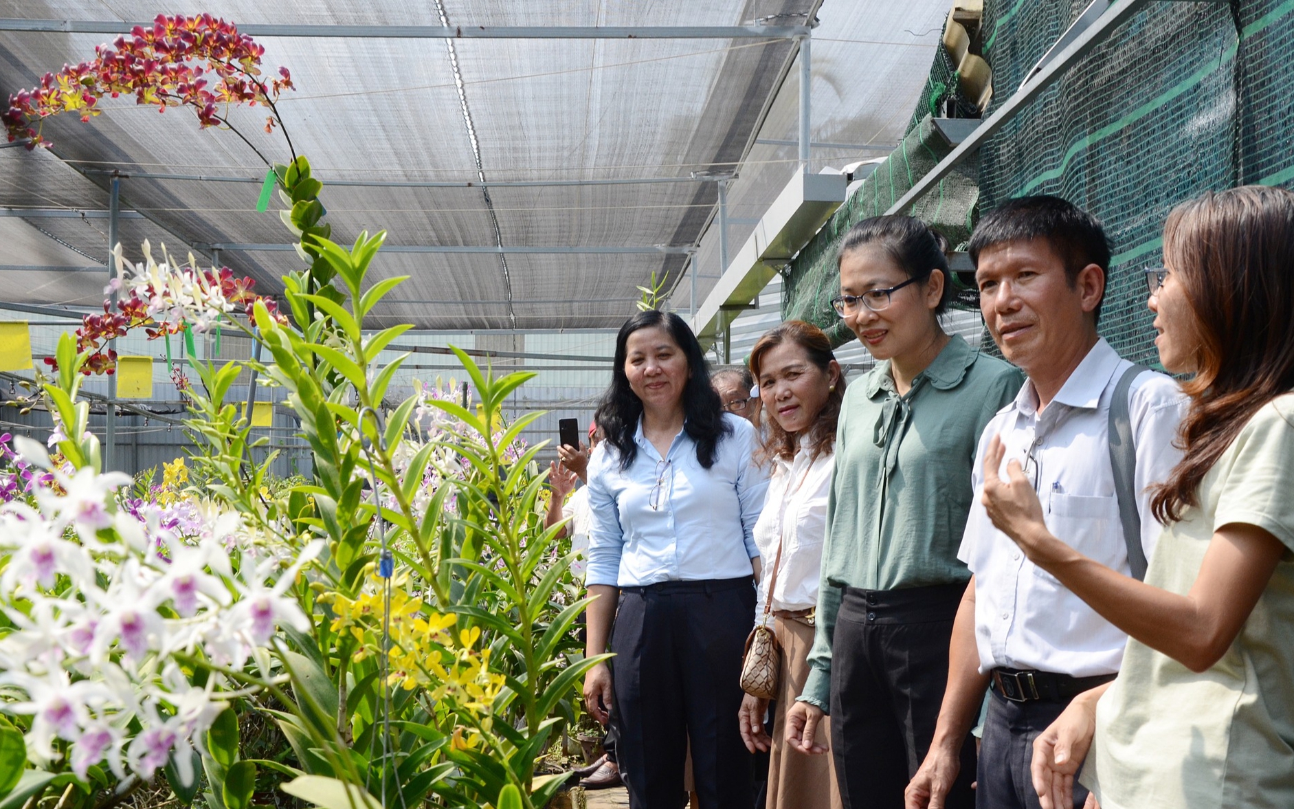 Nông dân tiêu biểu TP.HCM lợi nhuận cao nhất hơn 1 tỷ đồng/năm nhờ nuôi cá bóp - Ảnh 2.