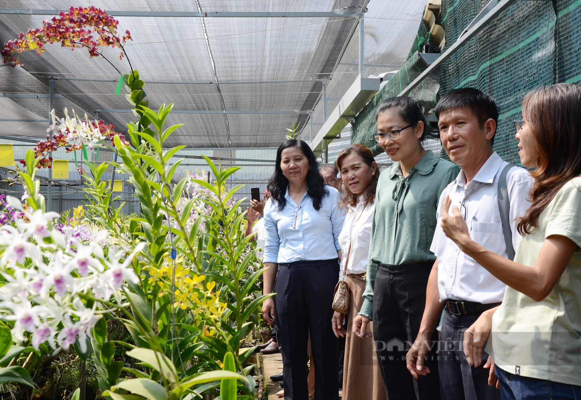 Chương trình Tự hào Nông dân Việt Nam 2024: Cơ hội để các nhà nông học hỏi, trao đổi kinh nghiệm với nhau - Ảnh 2.