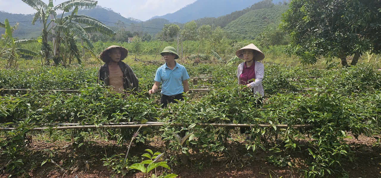 Phó Chủ tịch Thường trực Hội Nông dân tỉnh Bắc Giang Lã Văn Đoàn được tôn vinh Nhà khoa học của nhà nông- Ảnh 2.