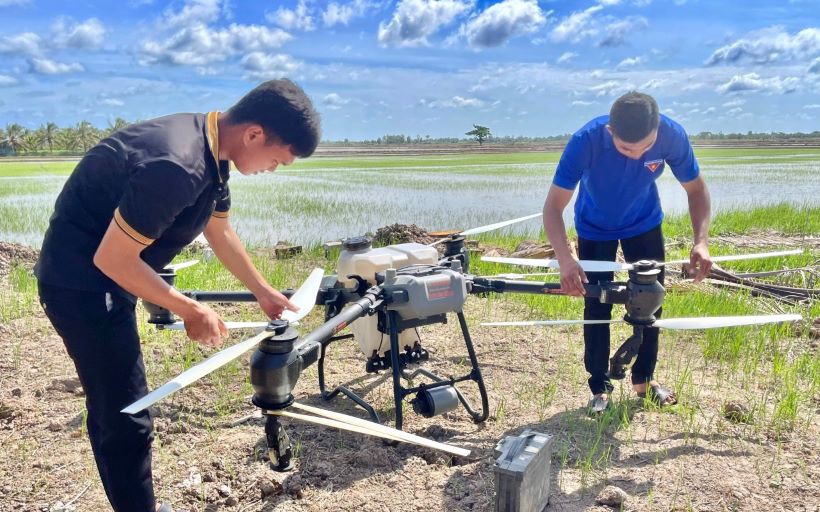 Dân U Minh Thượng Kiên Giang lội ruộng lúa bắt la liệt tôm càng xanh to bự, bán 120.000 đồng/kg - Ảnh 2.