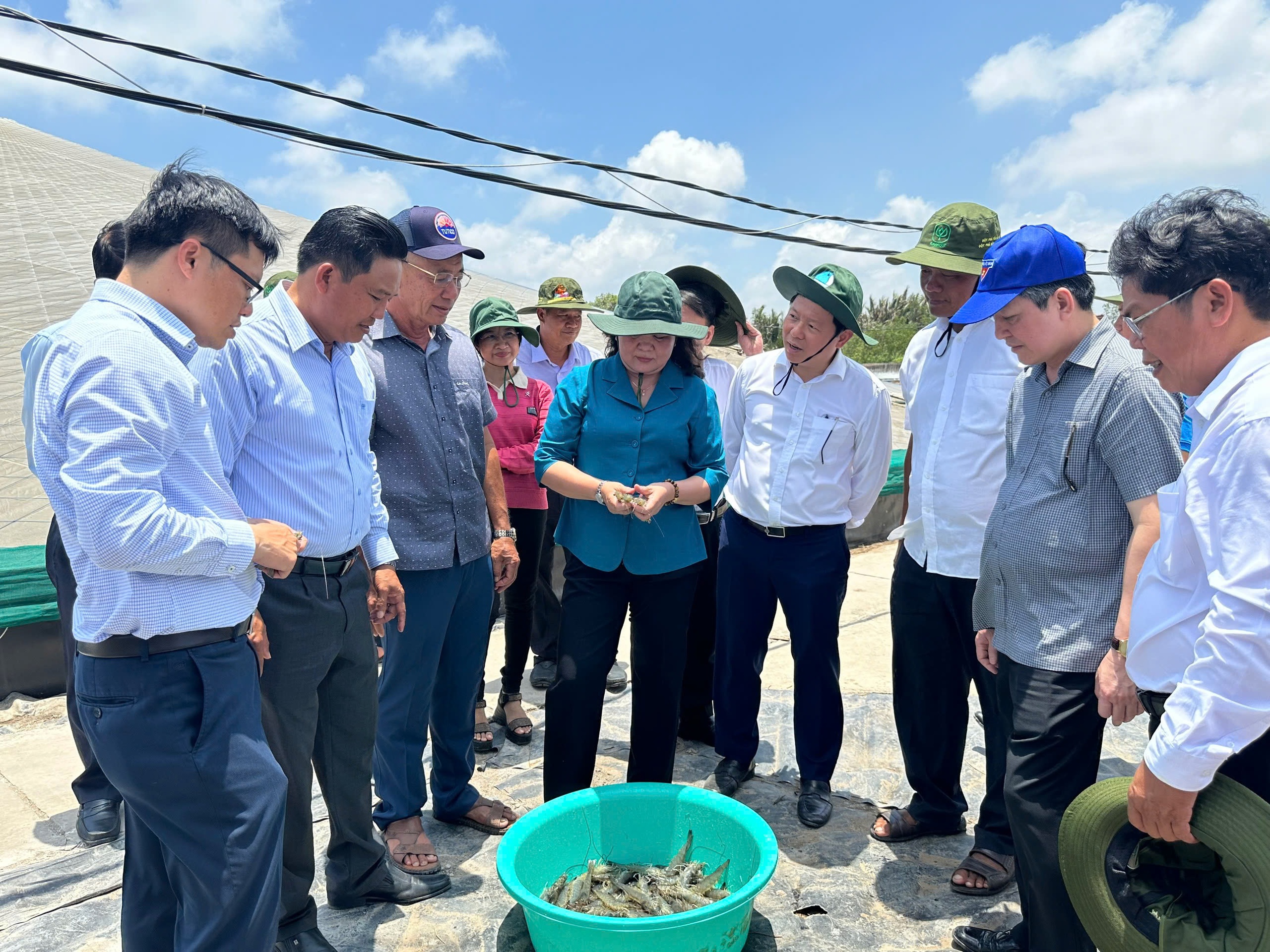 Chủ tịch Hội ND tỉnh Bến Tre: Chương trình Tự hào Nông dân Việt Nam 2024 giúp CLB Nông dân tỷ phú vươn xa - Ảnh 2.