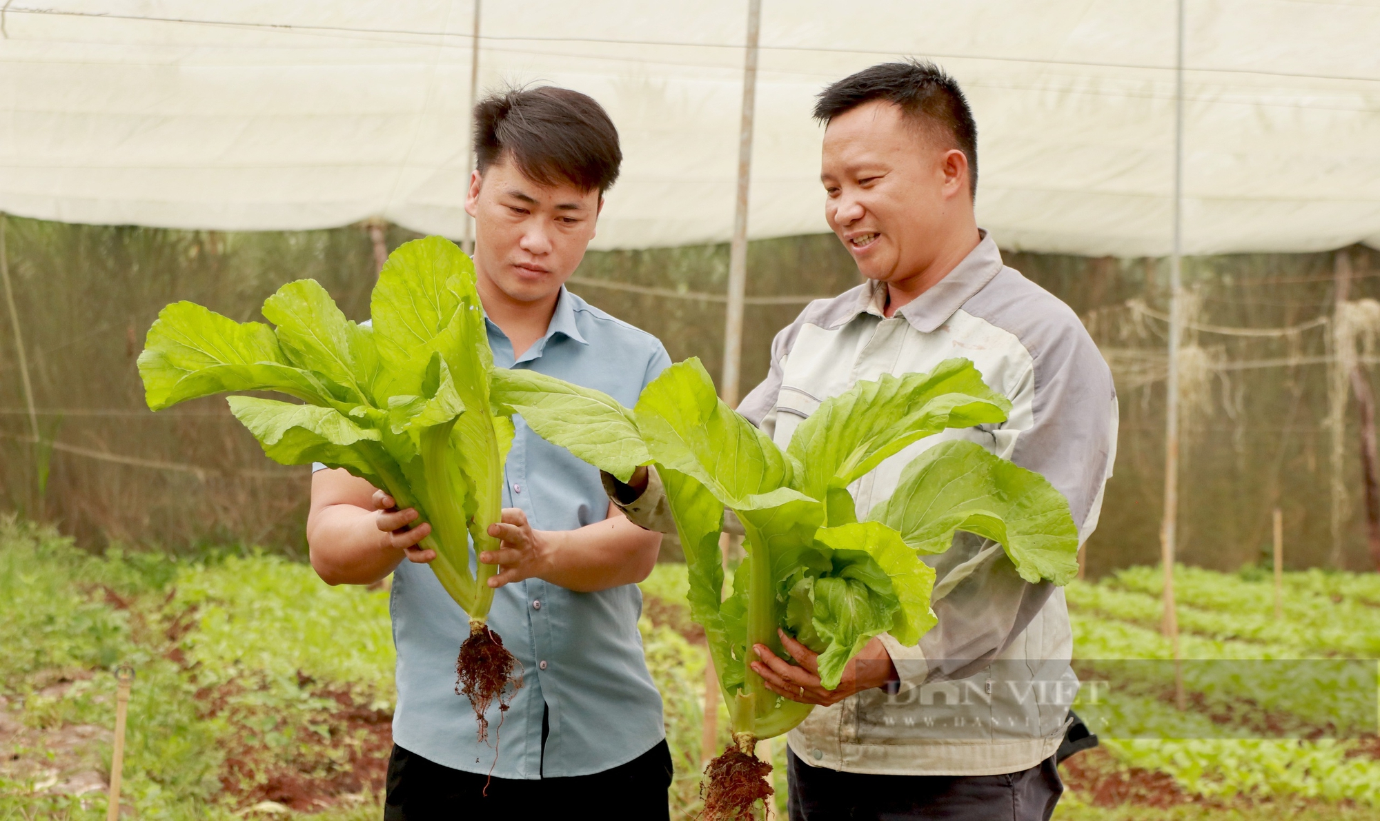 Phó Chủ tịch HND tỉnh Lâm Đồng: Chương trình Tự hào Nông dân Việt Nam khơi dậy khát vọng làm giàu của người dân - Ảnh 1.