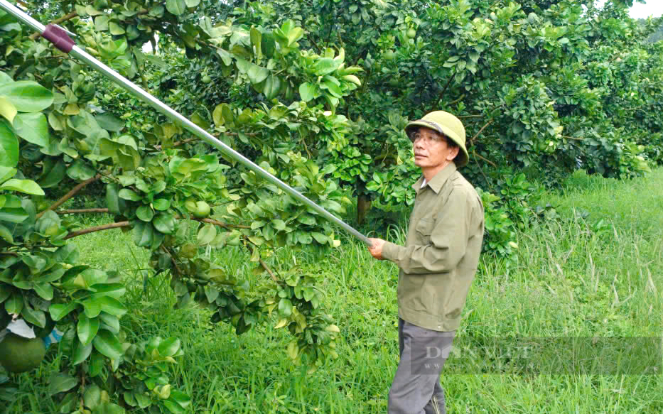 Nông dân xuất sắc Bình Dương không chỉ sản xuất giỏi mà còn biết chia sẻ để cùng nhau làm giàu - Ảnh 1.