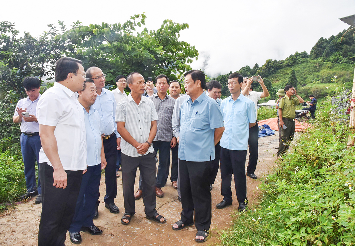 Câu chuyện "tư duy ngược" và cách biến rừng "thành vàng" của Bộ trưởng Lê Minh Hoan - Ảnh 3.