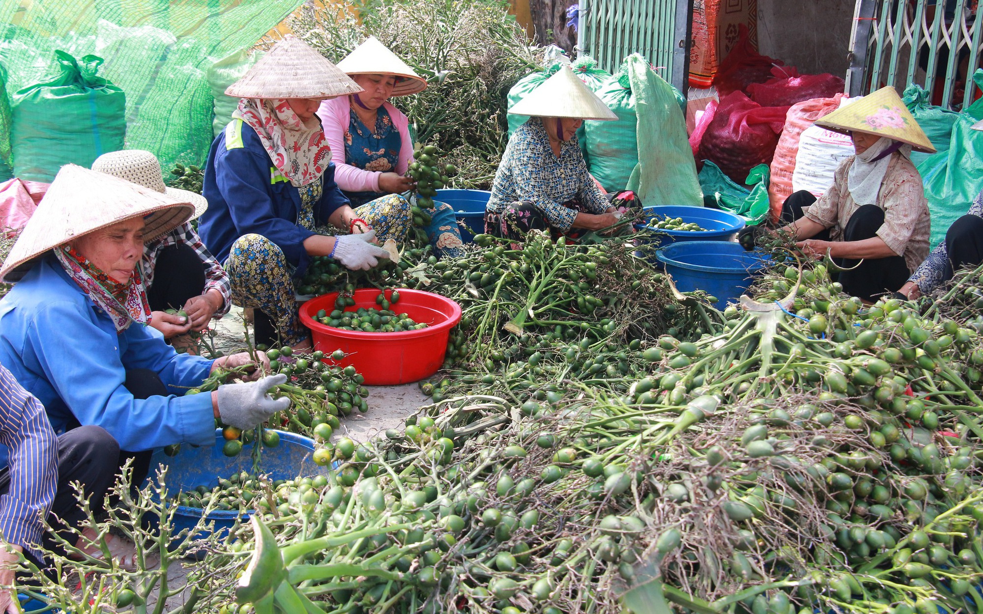 Câu chuyện "tư duy ngược" và cách biến rừng thành "vàng" của Bộ trưởng Bộ NNPTNT Lê Minh Hoan - Ảnh 4.