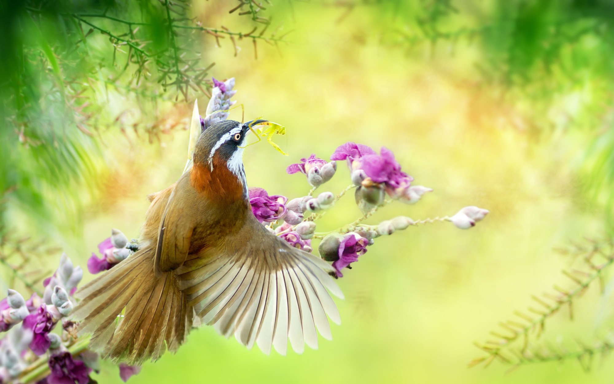 Ngày sinh Âm lịch của người mang chí lớn, được Thần Tài ban phước, về già vô lo - Ảnh 3.