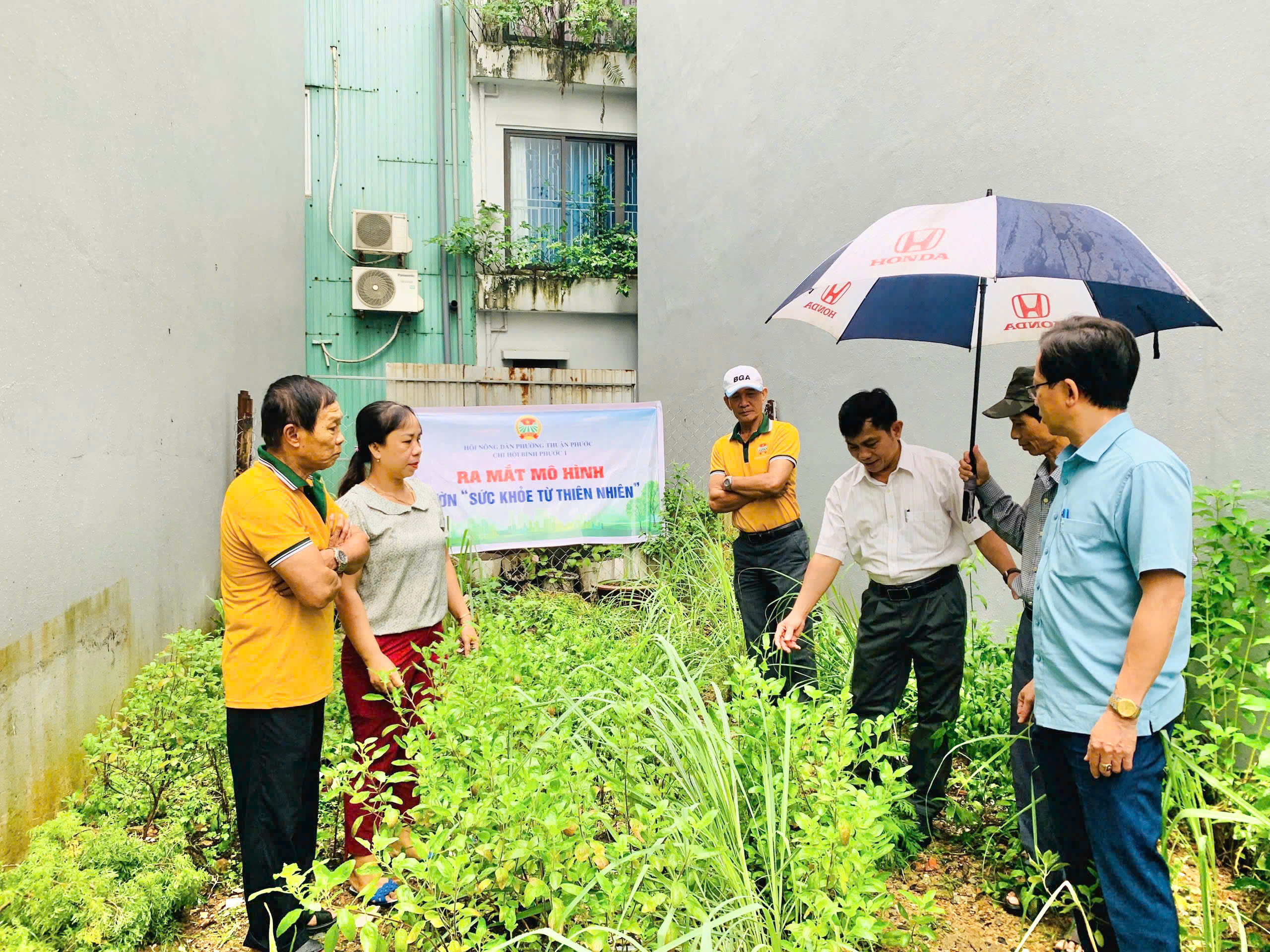 Đà Nẵng: Nông dân Thuận Phước ra mắt mô hình “Vườn sức khỏe từ thiên nhiên” - Ảnh 2.