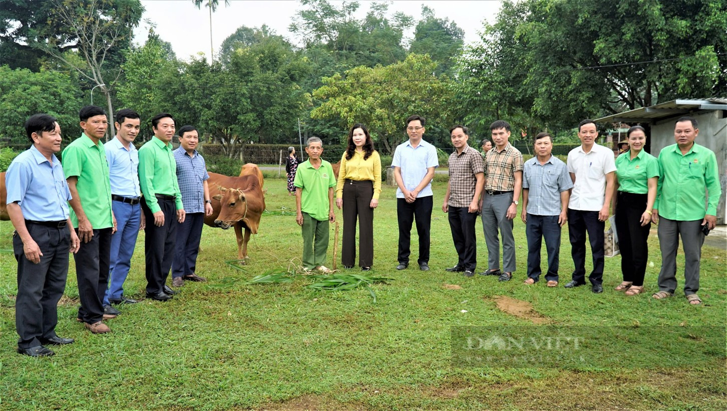 Hội Nông dân Hà Tĩnh chi hơn 235 triệu đồng hỗ trợ 15 gia đình hoàn cảnh khó khăn chăn nuôi bò sinh sản - Ảnh 2.