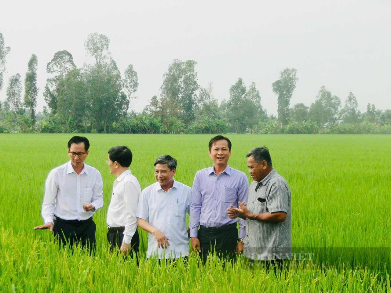 Tự hào nông dân Việt Nam đã khẳng định và nêu cao vai trò, vị thế của người nông dân  - Ảnh 1.